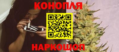 гашик Волжский