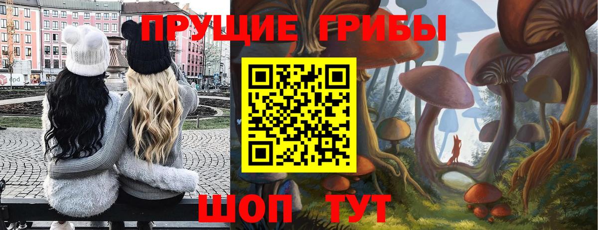 Галлюциногенные грибы Cubensis  Вход с VPN  Златоуст 